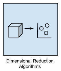 Dimensional Reduction Algorithms