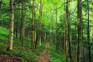 Ensemble Machine Learning Algorithms in Python with scikit-learn ...