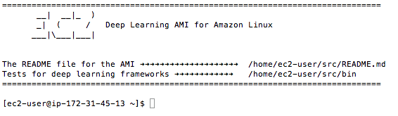 Terminal Login to Deep Learning AMI