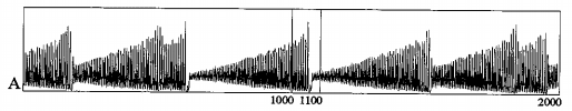 Example of Chaotic Laser Data (Set A), Taken from The Future of Time Series