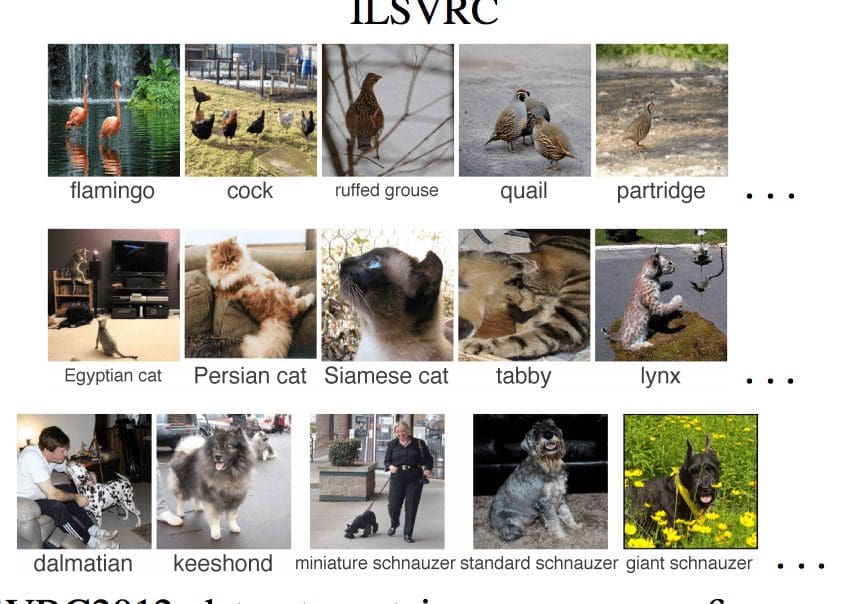 Example of classifying images into known classes