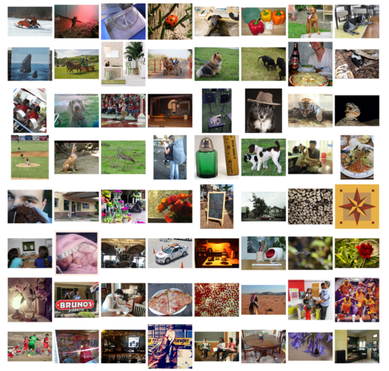 image-classification-using-pre-trained-imagenet-models-in-tensorflow