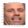 Detected Face of Jerry Seinfeld, Correctly Identified by the SVM Classifier
