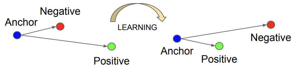Example of The Effect on Anchor, Positive, and Negative Both Before and After Applying Triplet Loss.