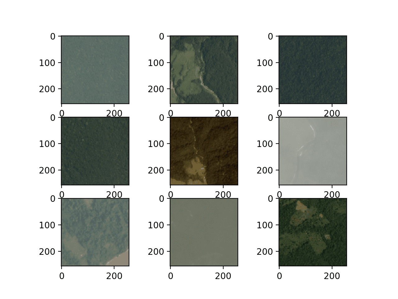 Figure Showing the First Nine Images From the Planet Dataset