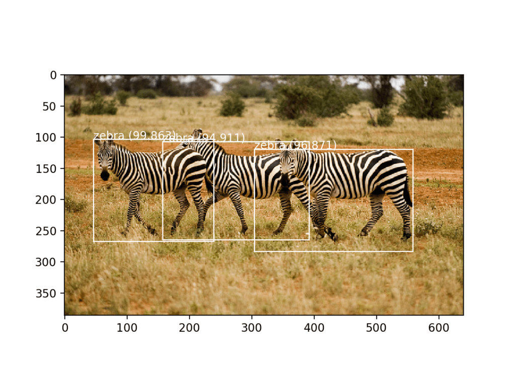Photograph of Three Zebra Each Detected with the YOLOv3 Model and Localized with Bounding Boxes