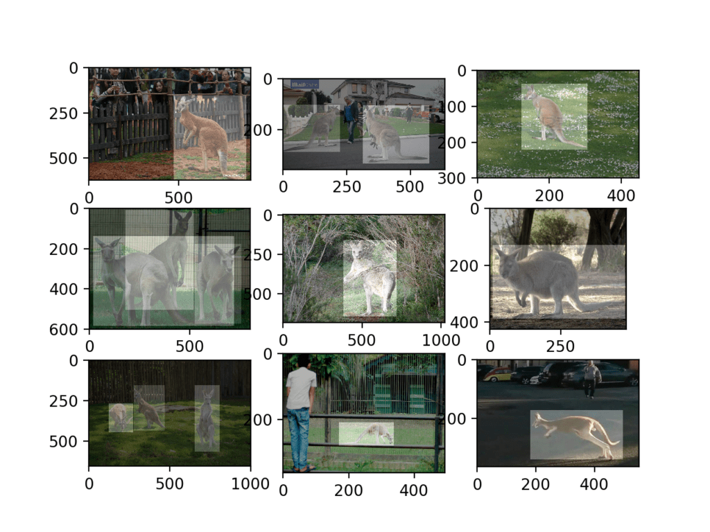 Plot of First Nine Photos of Kangaroos in the Training Dataset With Object Detection Masks