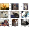 Plot of the First Nine Photos of Cats in the Dogs vs Cats Dataset