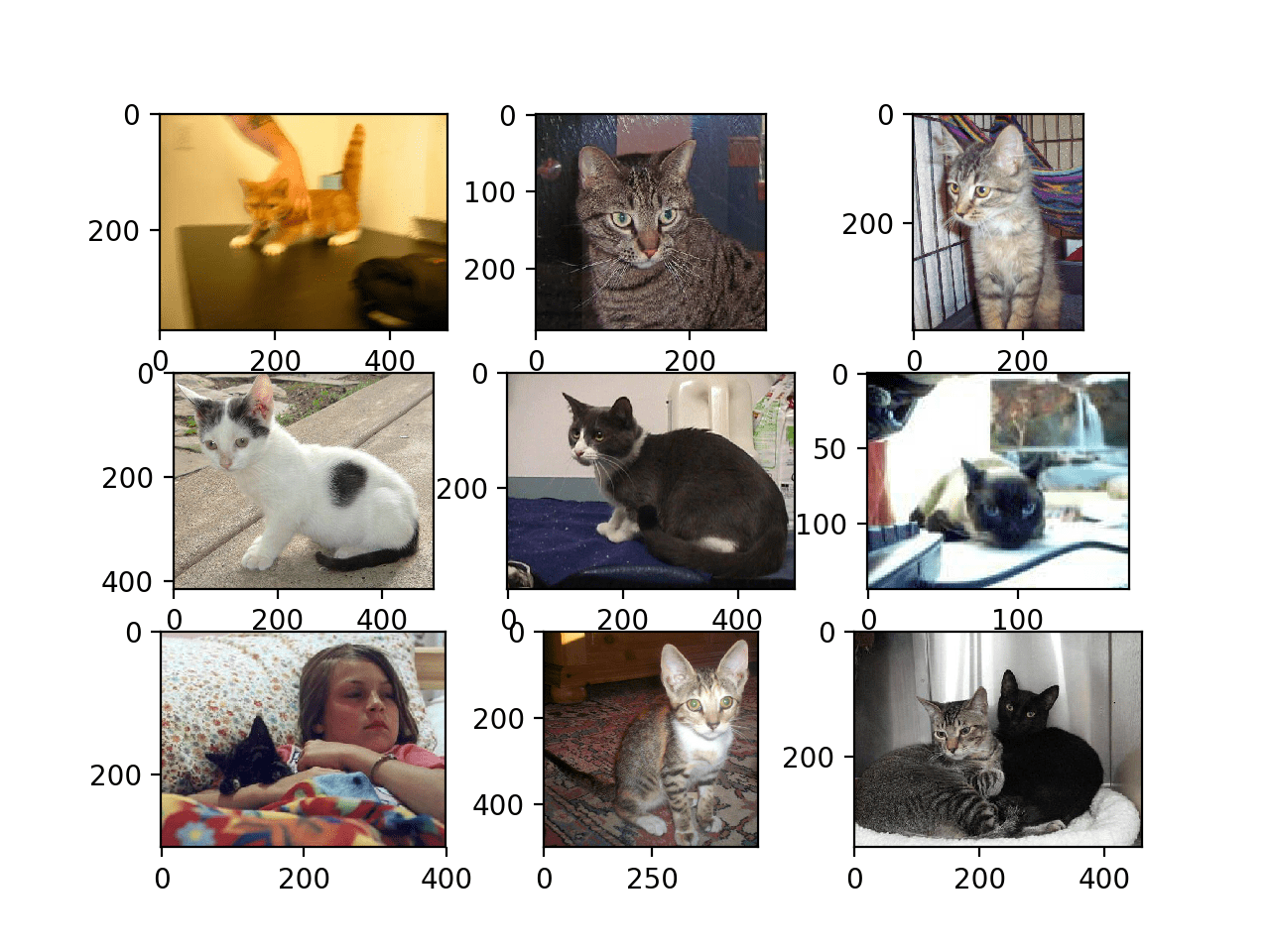 猫与猫数据集中的猫的前九张照片图解