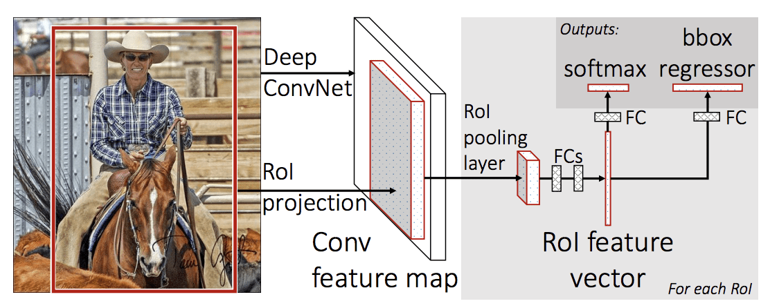 Summary of the Fast R-CNN Model Architecture