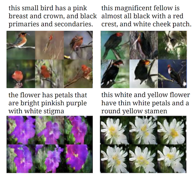 Example of Textual Descriptions and GAN Generated Photographs if Birds and Flowers