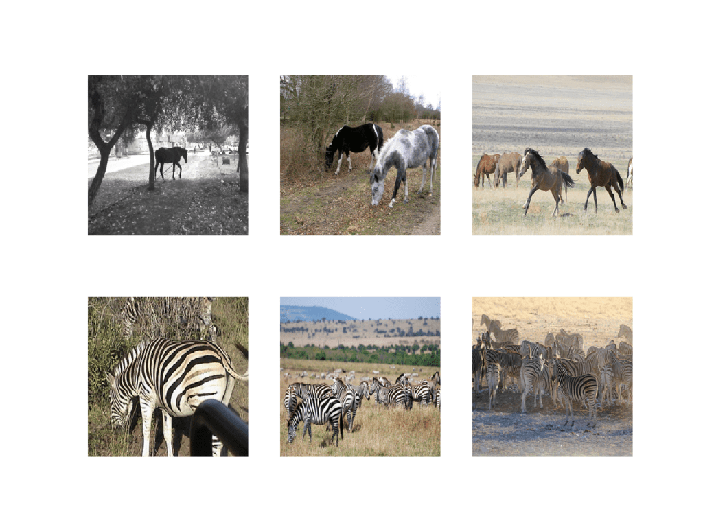 Plot of Photographs from the Horses2Zeba Dataset