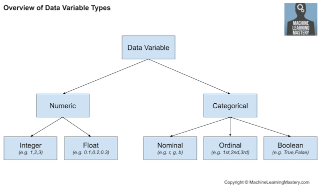 Overview of Data Variable Types