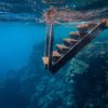 Photo by <a href="https://www.pexels.com/photo/view-of-wooden-steps-taken-underwater-3634369/">Francesco Ungaro</a>