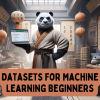 mlm-5-datasets-machine-learning-beginners