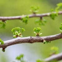 christina-winter-BZ3zysdFn9A-unsplash