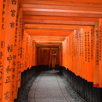 pexels-stephan-streuders-2134979-3767837