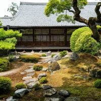 david-emrich-9a0S_8bU0lo-unsplash