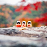 Word Embeddings in Language Models pexels-satoshi-3322920