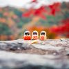 pexels-satoshi-3322920