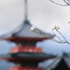 Mixture of Experts Architecture in Transformer Models realfish-0MvkW2nYysk-unsplash