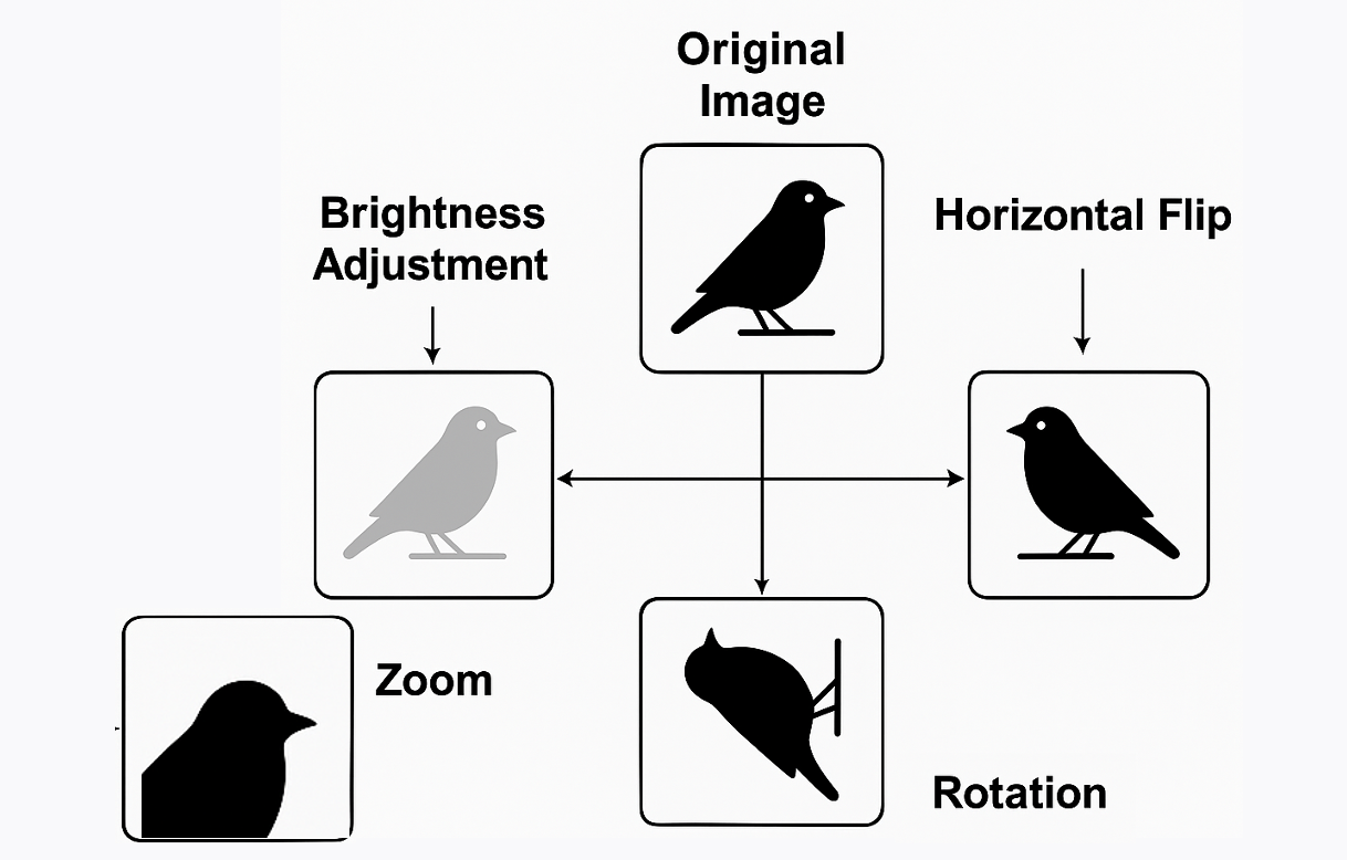 Image augmentation techniques