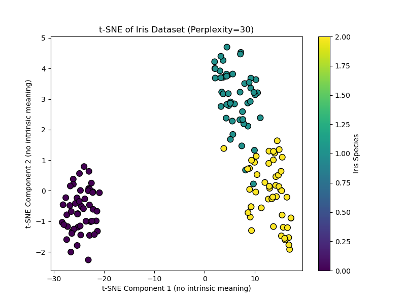 t-SNE Component 1 no intrinsic meaning