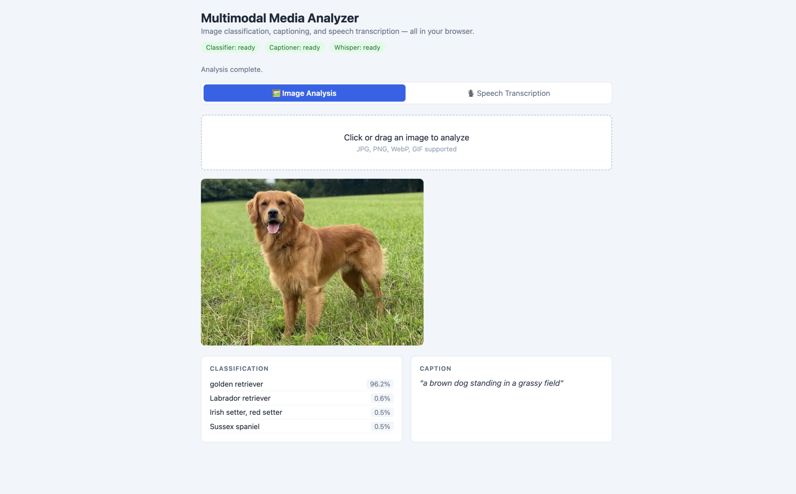 Browser mockup of the media-analyzer.html page